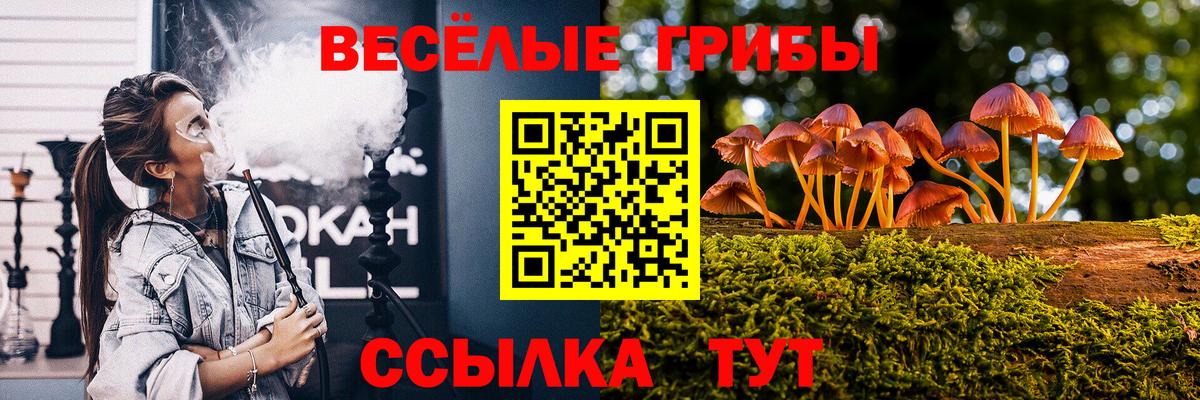 Дзержинск  Псилоцибиновые грибы ЛСД  где можно купить наркотик  Галлюциногенные грибы Magic Shrooms  Вход с VPN 